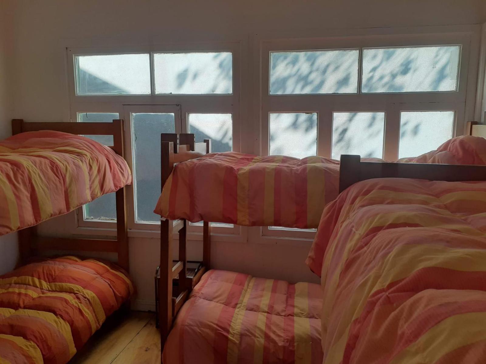 Backpackersparadise Hostel Punta Arenas Ngoại thất bức ảnh